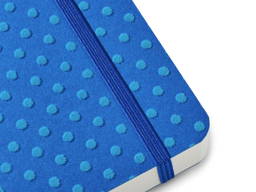Flock 2026 Diary 5