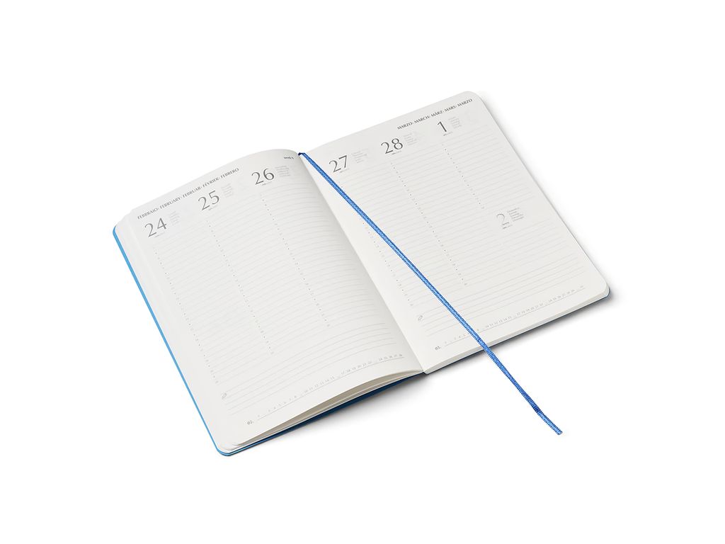 Flock 2026 Diary 9