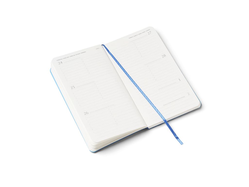 Flock 2026 Diary 10