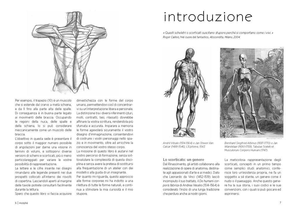 Anatomia artistica  2